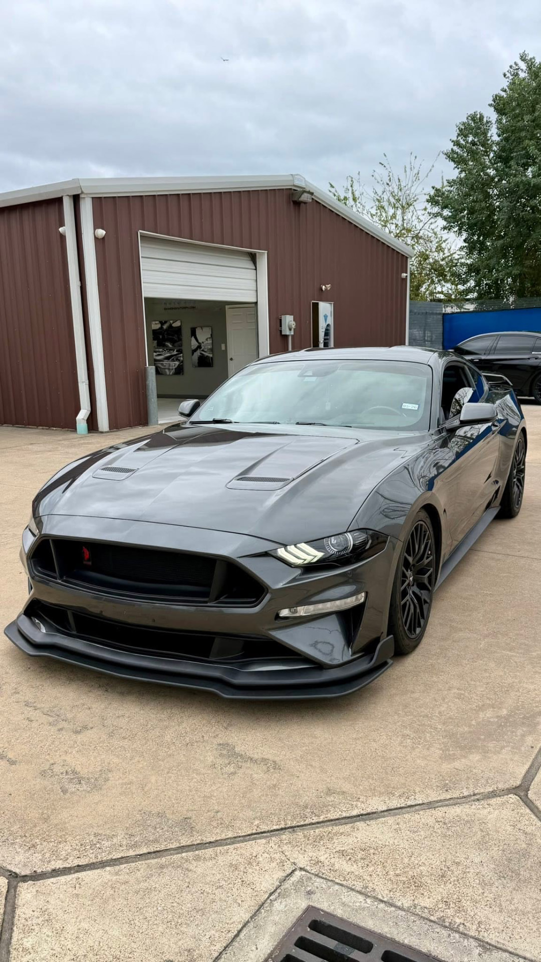 Gray 2019 Ford Mustang GT after a full paint correction
